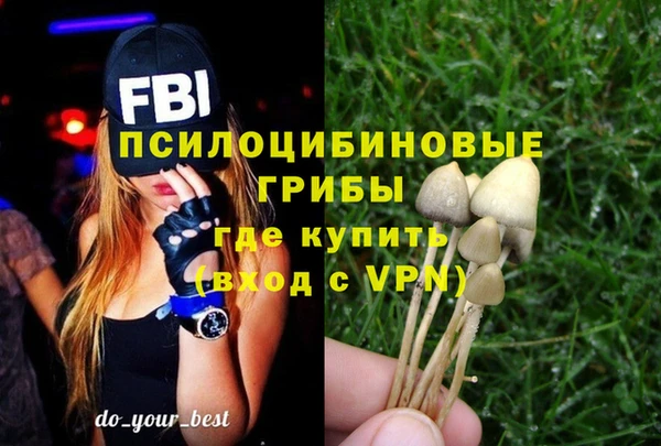 шишки Алексин
