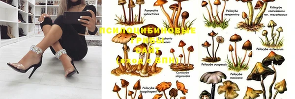 метадон Алексеевка