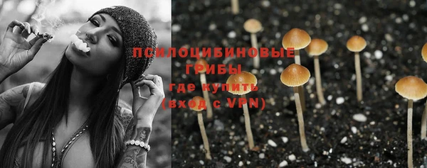 шишки Алексин