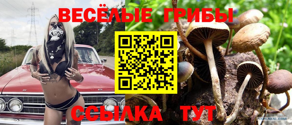 Нижний Тагил  Галлюциногенные грибы Psilocybine cubensis  Вход с VPN  Галлюциногенные грибы Magic Shrooms 