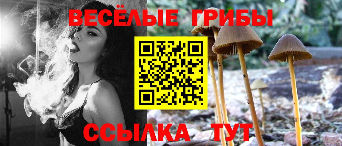 Псилоцибиновые грибы GOLDEN TEACHER Нижний Тагил